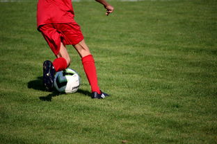 米兰体育下载-中国青少年篮球运动员伤病防控体系建设，青少年篮球训练现状分析