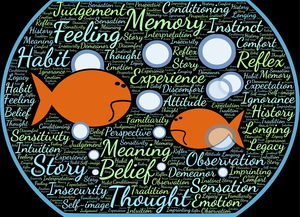 ac米兰官网-法甲实际战术板使用率与胜率关系初步调查，法国套战术板