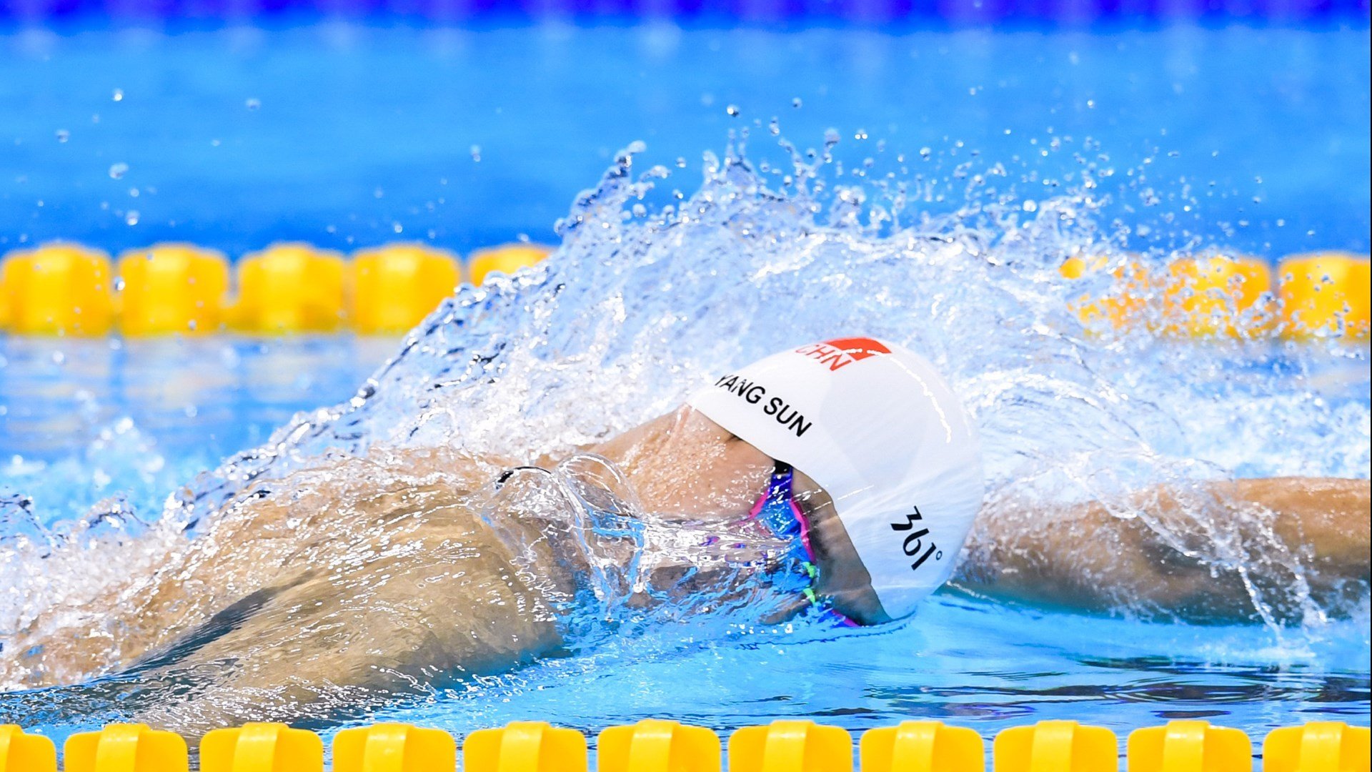 本赛季最强阵容曝光